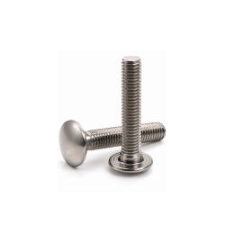 Carriage Bolt