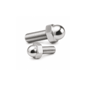 Dome Bolt