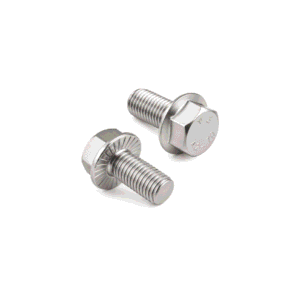 Flange Head Bolt