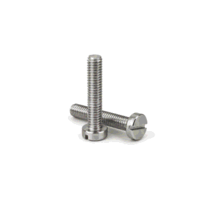 Cheese Head Slotted Screw