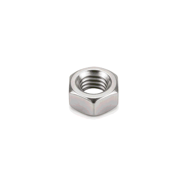 Hex Nut