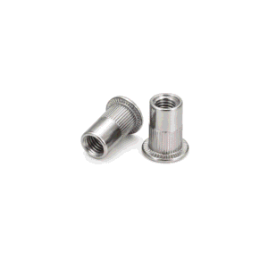Insert Nut (Rivet Nut)
