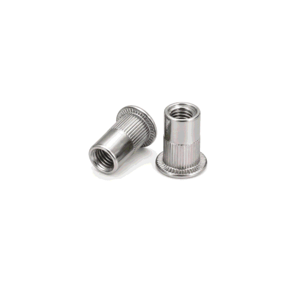 Insert Nut (Rivet Nut)