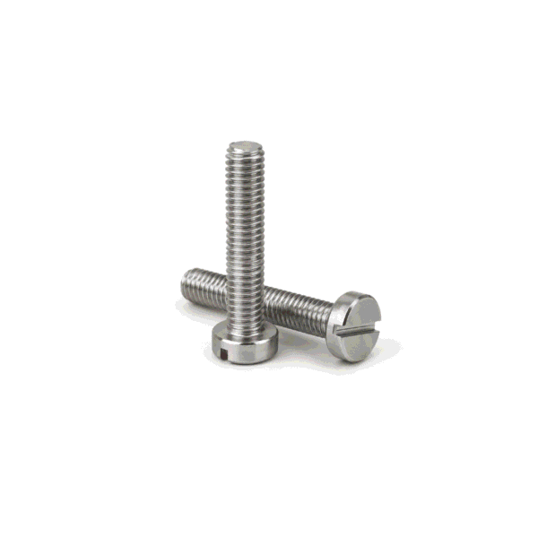 Cheese Head Slotted Screw