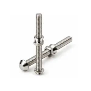 Anti Theft Bolt